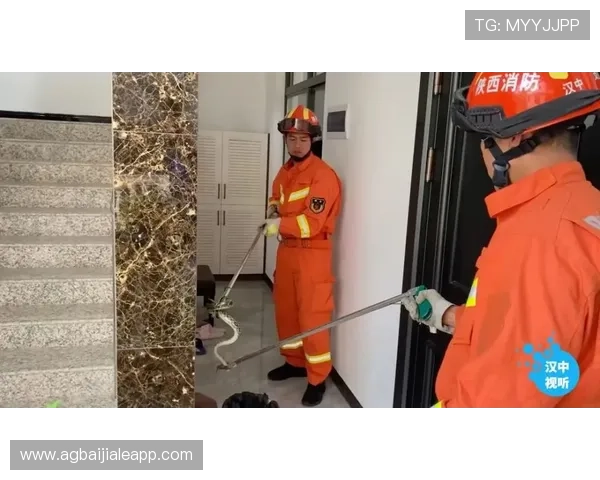 AG视讯安全中心为玩家提供的多层次安全防护措施详解与实用指南 AG视讯安全中心为玩家提供的多层次安全防护措施详解与实用指南