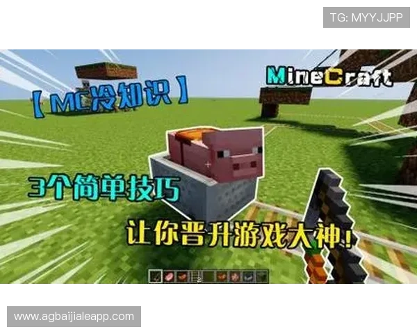 利用e星真人app提升游戏技巧，掌握专业玩家的实用攻略与操作技巧