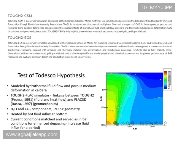 如何高效完成K8电子注册流程避免常见错误