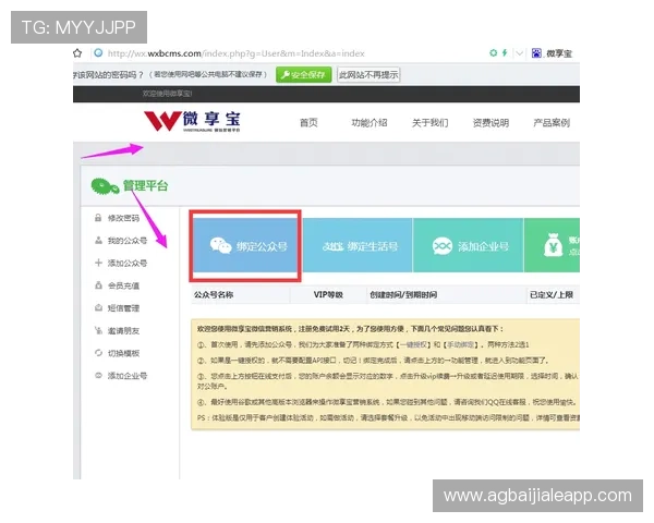 了解BG真人品牌官网的专业客服支持与便捷充值方式实现无忧游戏体验的详细指南