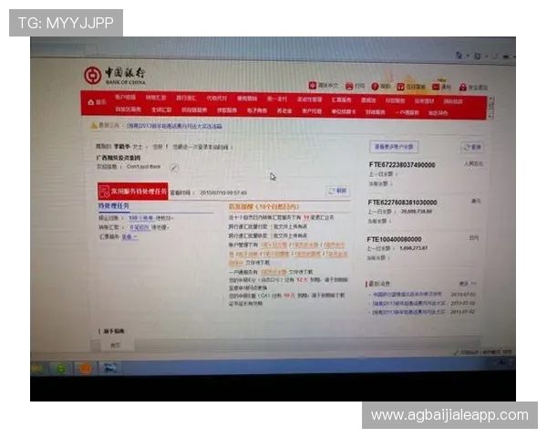 多宝真人网页入口官网安全登录流程与账号保护措施详解